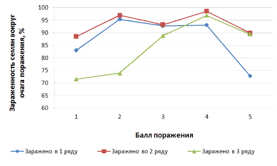 Особенности проявления скрытой зараженности семян фузариозом