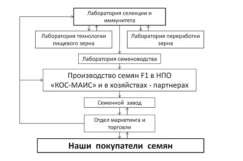 Структура НПО "КОС-МАИС"